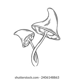 Poison mushrooms. Psychedelic mushrooms for wicca rituals. Vector illustration isolated in white background