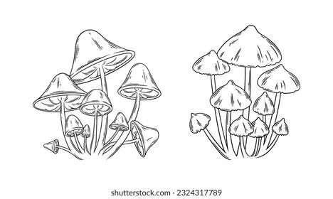 Poison mushrooms set. Magic mushrooms for wicca rituals. Vector illustration isolated in white background
