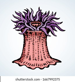 Poison soft fan coast live Actiniaria hexacorallia anthozoa sting on white tank text space. Outline black ink hand drawn actinium pinna logo icon sign design in retro art doodle style. Close up view
