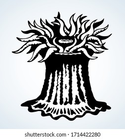 Poison soft fan coast live Actiniaria hexacorallia anthozoa sting on white tank text space. Outline black ink hand drawn actinium pinna logo icon sign design in retro art doodle style. Close up view
