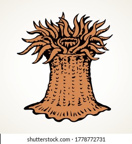 Poison soft fan coast live Actiniaria hexacorallia anthozoa sting on white tank text space. Outline black ink hand drawn actinium pinna logo icon sign design in retro art doodle style. Close up view