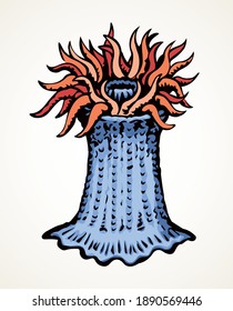 Poison soft fan coast live Actiniaria hexacorallia anthozoa sting on white tank text space. Outline black ink hand drawn actinium pinna logo icon sign design in retro art doodle style. Close up view