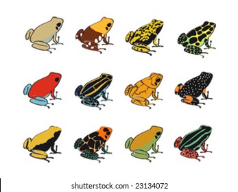 Poison-dart frogs (Dendrobates). Vector study of colors and patterns.