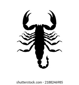 Poisonous black scorpion silhouette. Dangerous venomous arachnid with large claws and aggression vector tail spike