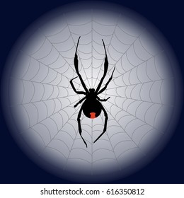 poisonous black widow spider and web on the moon. vector illustration