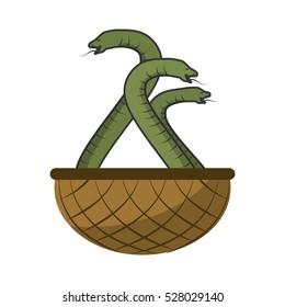 Poisonous Cobra serpent