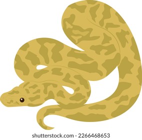 Poisonous dangerous reptile. Viper snake. Tattoo. Design element. Snake skin.