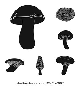 Poisonous and edible mushroom black icons in set collection for design. Different types of mushrooms vector symbol stock web illustration.