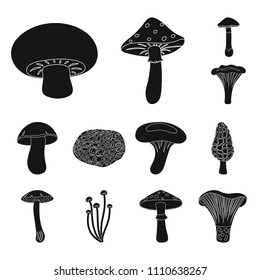 Poisonous and edible mushroom black icons in set collection for design. Different types of mushrooms vector symbol stock web illustration.