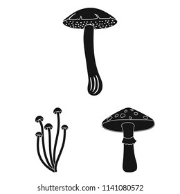 Poisonous and edible mushroom black icons in set collection for design. Different types of mushrooms vector symbol stock web illustration.