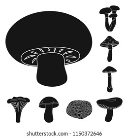 Poisonous and edible mushroom black icons in set collection for design. Different types of mushrooms vector symbol stock web illustration.