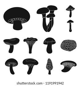 Poisonous and edible mushroom black icons in set collection for design. Different types of mushrooms vector symbol stock web illustration.