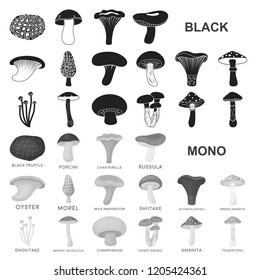Poisonous and edible mushroom black icons in set collection for design. Different types of mushrooms vector symbol stock web illustration.