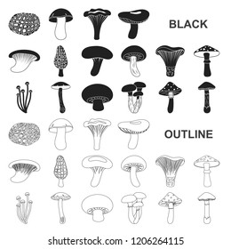 Poisonous and edible mushroom black icons in set collection for design. Different types of mushrooms vector symbol stock web illustration.