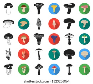 Poisonous and edible mushroom black,flat icons in set collection for design. Different types of mushrooms vector symbol stock web illustration.