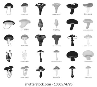 Poisonous and edible mushroom black,monochrome icons in set collection for design. Different types of mushrooms vector symbol stock web illustration.