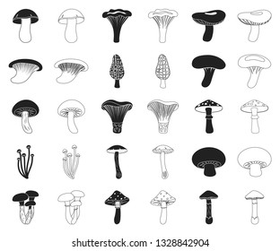 Poisonous and edible mushroom black,outline icons in set collection for design. Different types of mushrooms vector symbol stock web illustration.