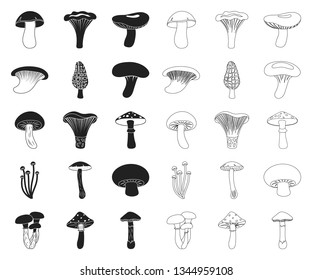 Poisonous and edible mushroom black,outline icons in set collection for design. Different types of mushrooms vector symbol stock web illustration.