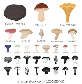 Poisonous Edible Mushroom Cartoon Black Icons Stock Vector (Royalty ...