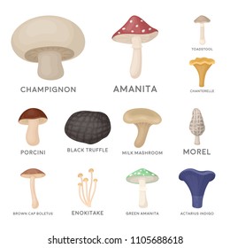 233 Indigo Milk Cap Mushrooms Images, Stock Photos & Vectors | Shutterstock