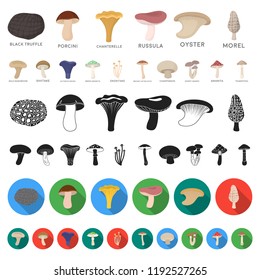 Poisonous and edible mushroom cartoon icons in set collection for design. Different types of mushrooms vector symbol stock web illustration.