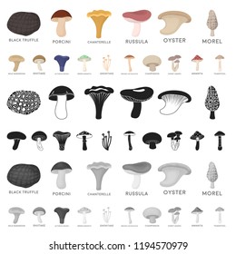 Poisonous and edible mushroom cartoon icons in set collection for design. Different types of mushrooms vector symbol stock web illustration.