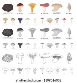 Poisonous and edible mushroom cartoon icons in set collection for design. Different types of mushrooms vector symbol stock web illustration.