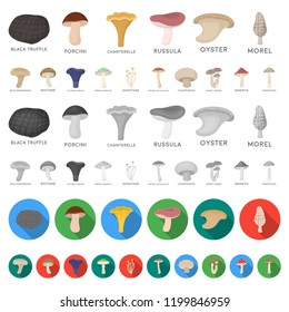 Poisonous and edible mushroom cartoon icons in set collection for design. Different types of mushrooms vector symbol stock web illustration.