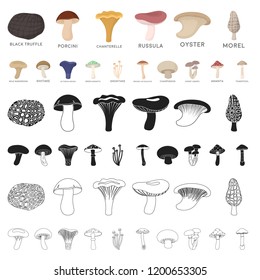 Poisonous and edible mushroom cartoon icons in set collection for design. Different types of mushrooms vector symbol stock web illustration.