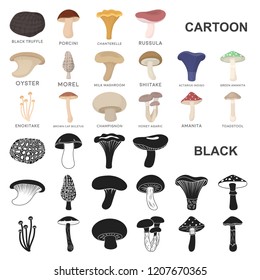 Poisonous and edible mushroom cartoon icons in set collection for design. Different types of mushrooms vector symbol stock web illustration.