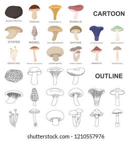 Poisonous and edible mushroom cartoon icons in set collection for design. Different types of mushrooms vector symbol stock web illustration.