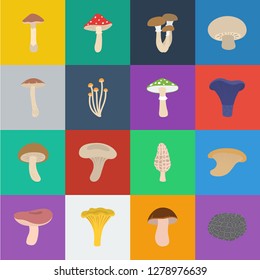 Poisonous and edible mushroom cartoon icons in set collection for design. Different types of mushrooms vector symbol stock web illustration.