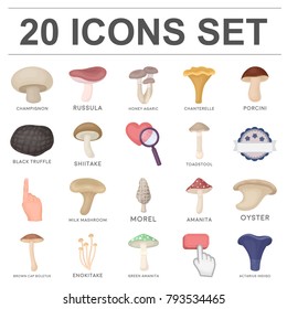Poisonous and edible mushroom cartoon icons in set collection for design. Different types of mushrooms vector symbol stock web illustration.