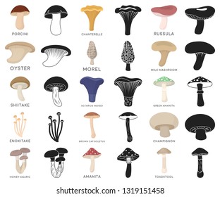 Poisonous and edible mushroom cartoon,black icons in set collection for design. Different types of mushrooms vector symbol stock web illustration.