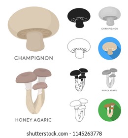 Poisonous and edible mushroom cartoon,black,flat,monochrome,outline icons in set collection for design. Different types of mushrooms vector symbol stock web illustration.
