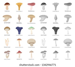 Poisonous and edible mushroom cartoon,mono icons in set collection for design. Different types of mushrooms vector symbol stock web illustration.