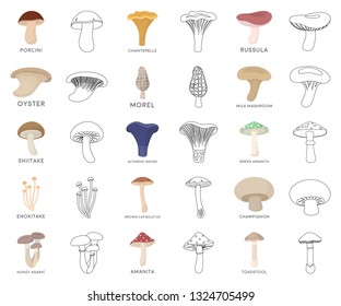 233 Indigo Milk Cap Mushrooms Images, Stock Photos & Vectors | Shutterstock