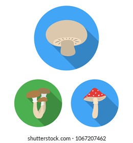 Poisonous and edible mushroom flat icons in set collection for design. Different types of mushrooms vector symbol stock web illustration.