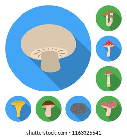 Poisonous and edible mushroom flat icons in set collection for design. Different types of mushrooms vector symbol stock web illustration.