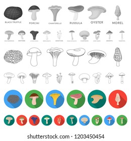 Poisonous and edible mushroom flat icons in set collection for design. Different types of mushrooms vector symbol stock web illustration.