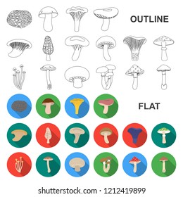 Poisonous and edible mushroom flat icons in set collection for design. Different types of mushrooms vector symbol stock web illustration.