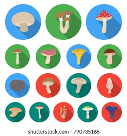 Poisonous and edible mushroom flat icons in set collection for design. Different types of mushrooms vector symbol stock web illustration.