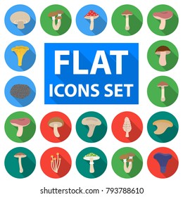 Poisonous and edible mushroom flat icons in set collection for design. Different types of mushrooms vector symbol stock web illustration.