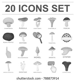 Poisonous and edible mushroom monochrome icons in set collection for design. Different types of mushrooms vector symbol stock web illustration.