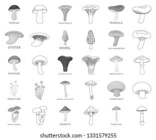 Poisonous and edible mushroom monochrome,outline icons in set collection for design. Different types of mushrooms vector symbol stock web illustration.