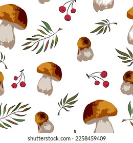 Poisonous and edible mushroom, organic porcini, chanterelle, amanita and poisonous fungus, isolated vector illustration. Forest wild mushrooms types. 