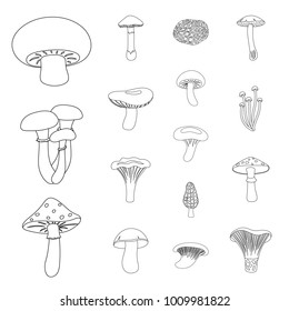 Poisonous and edible mushroom outline icons in set collection for design. Different types of mushrooms vector symbol stock web illustration.