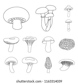 Poisonous and edible mushroom outline icons in set collection for design. Different types of mushrooms vector symbol stock web illustration.