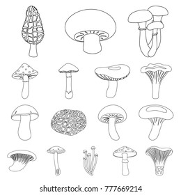 Poisonous and edible mushroom outline icons in set collection for design. Different types of mushrooms vector symbol stock web illustration.