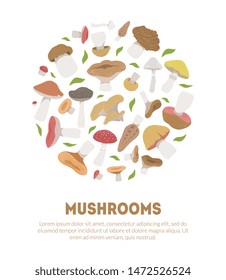 Poisonous and Edible Mushrooms Banner Template with Space for Text, Vegetarian Organic Natural Food Vector Illustration